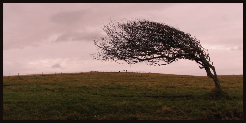 Resilient tree at an angle